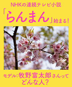 NHK朝の連続テレビ小説「らんまん」のモデル 牧野富太郎さんってどんな人?