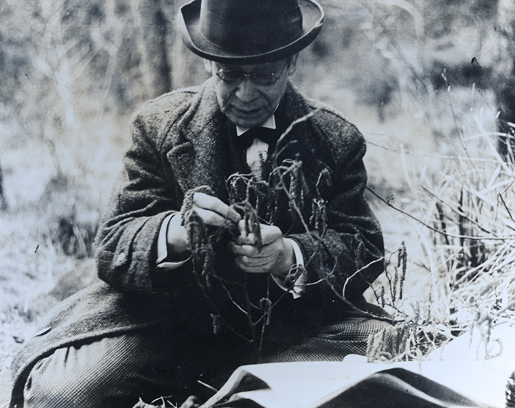 植物採集する牧野富太郎　昭和19年頃　個人蔵